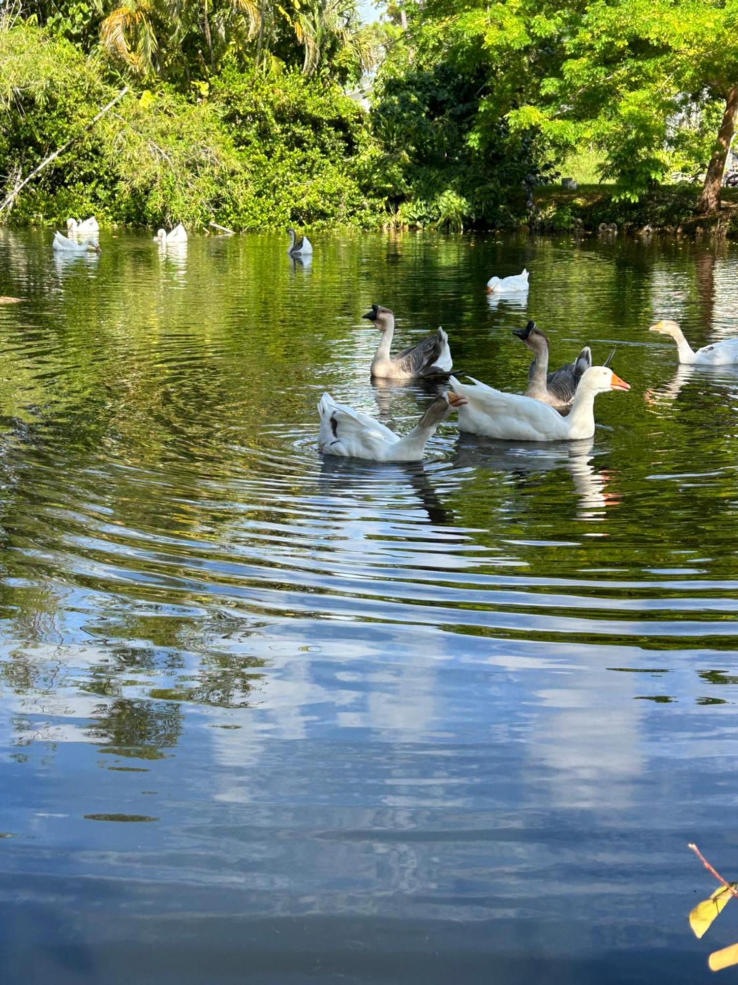Vila Unwind Island West Palm Beach Exteriér fotografie